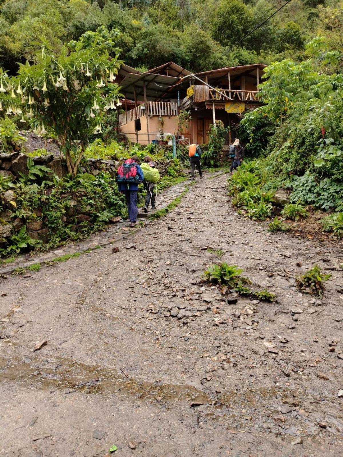 Hostel Samana Wasi Chaullay Cusco Dış mekan fotoğraf