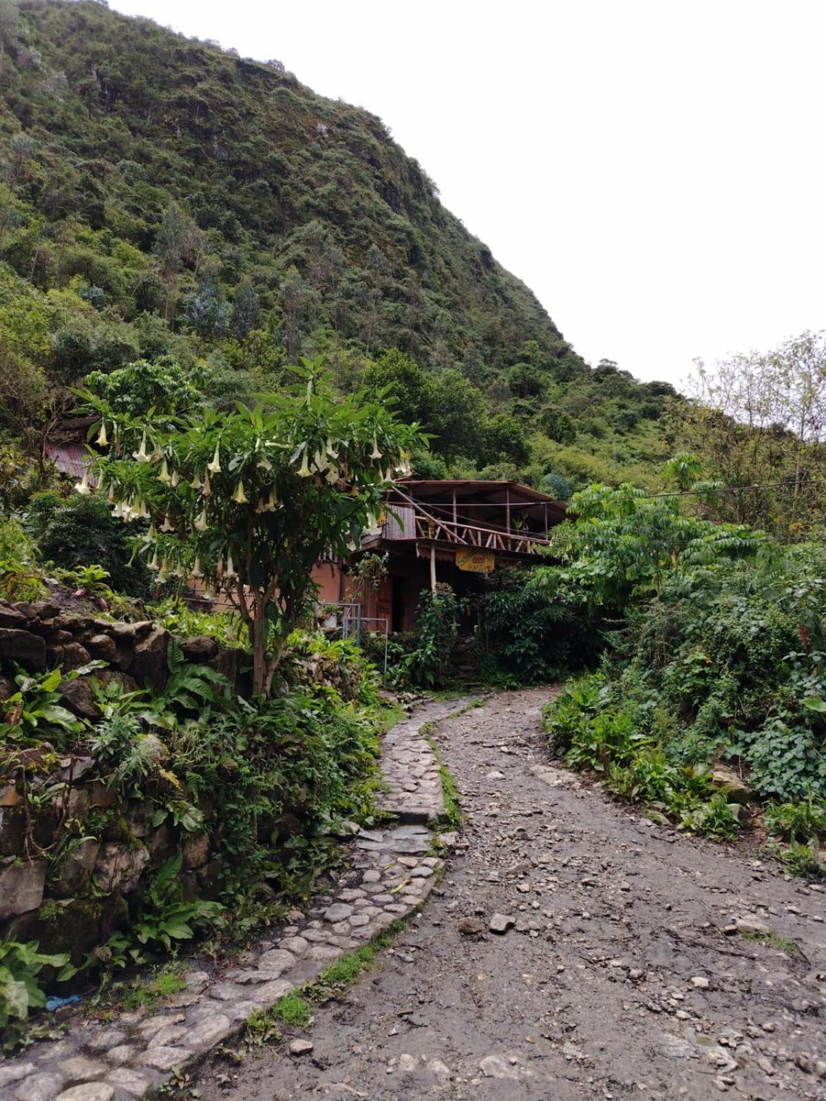 Hostel Samana Wasi Chaullay Cusco Dış mekan fotoğraf